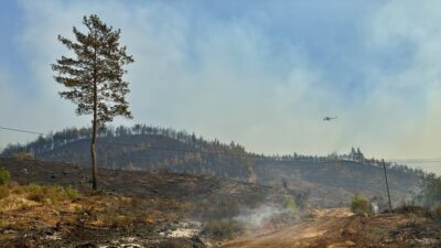 Muğla’nın Köyceğiz ilçesinde çıkan orman yangını ikinci gününde de devam