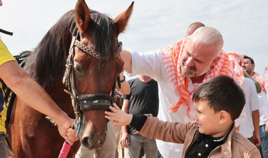 Türkiye’nin dört bir yanından gelen 184 rahvan at, Menemen’de düzenlenen