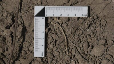 Çanakkale’de 160 yılı aşkın süredir devam eden Troya kazılarında arkeoloji