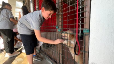İzmir Büyükşehir Belediyesi’nin İngilizce Speaking Club etkinliği, Pako Sokak Hayvanları