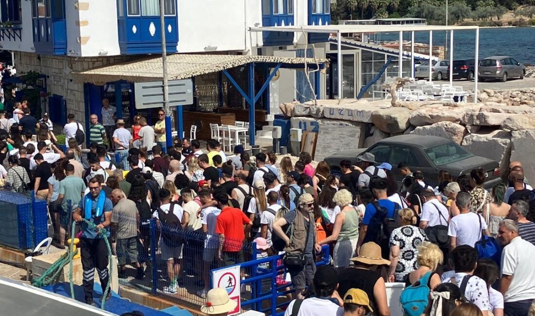 İZDENİZ’in yaz boyunca Urla ve Mordoğan’a düzenlediği seferlere 24 bine