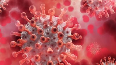 Kovid-19’un “Frankenstein varyantı” Türkiye’de tespit edildi Prof. Dr. Şevket Özkaya: “Yeni varyantın bulaşıcılığı yüksek, hastanelere başvuran