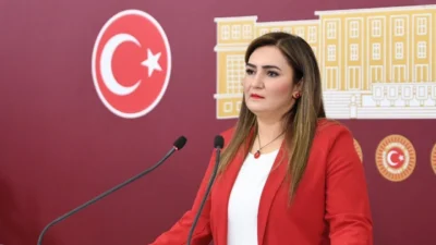 CHP İzmir Milletvekili Sevda Erdan Kılıç, sosyal medya hesabından yaptığı