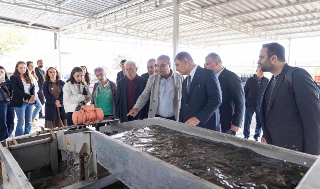 Zeytinyağı hasadı Başkan Tugay’la başladı İzmir Büyükşehir Belediye Başkanı Dr. Cemil Tugay, Bademler Kooperatifi’ni ziyaret