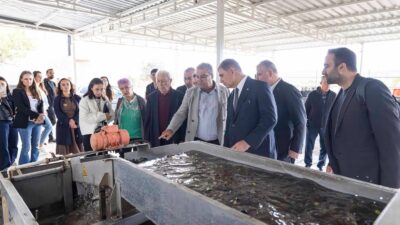 İzmir Büyükşehir Belediye Başkanı Dr. Cemil Tugay, Bademler Kooperatifi’ni ziyaret