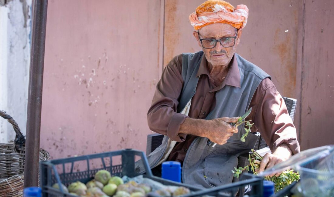 İzmir Büyükşehir Belediyesi, çiftçinin emeğinin katma değerli ürüne dönüşmesi için