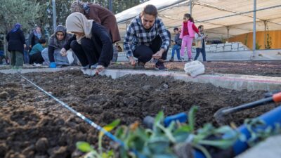 İzmir Büyükşehir Belediyesi’nin dört mahallede kurduğu bostanlarda 254 kadın, kışlık