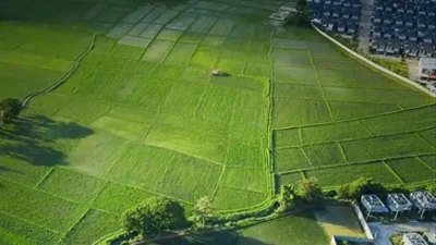 Arsa ve tarla yatırımında son bir yıldır reel kayıp yaşanıyor.