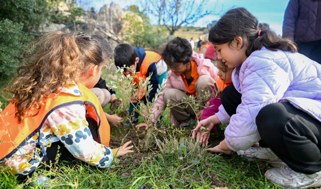 Bornova Belediyesi, 26 Kasım Dünya Zeytin Ağacı Günü kapsamında öğrencilerin