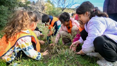 Bornova Belediyesi, 26 Kasım Dünya Zeytin Ağacı Günü kapsamında öğrencilerin