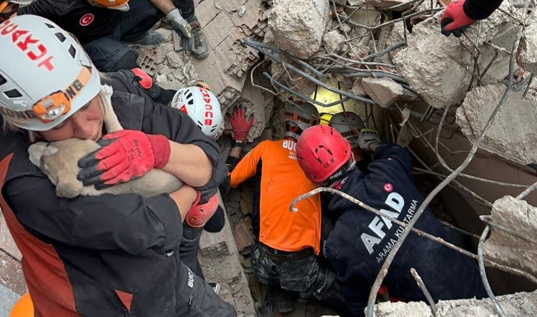 Buca’da yıkılan metruk bir evin enkazından gelen yavru köpek sesi,