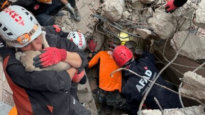 Buca’da yıkılan metruk bir evin enkazından gelen yavru köpek sesi,