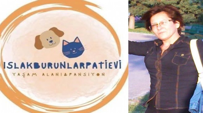 İtfaiye ekiplerinin yoğun çabasına rağmen Şule Çörekçi ve 30 kedisi