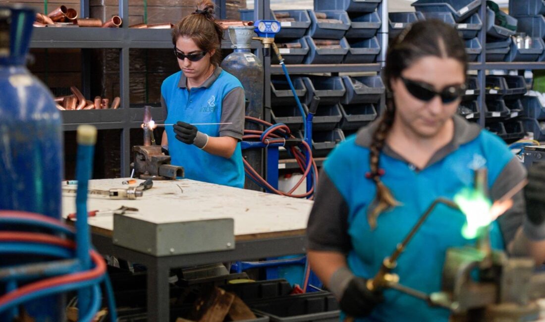Kadınların ulaşım, güvenlik, sağlık, istihdam ve sosyal hizmetler gibi alanlarda