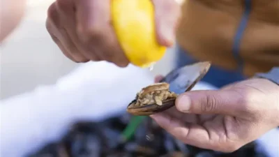 Uzmanlar, İstanbul’daki ölümcül gıda zehirlenmesinin pirinç ve tavukta gözle fark