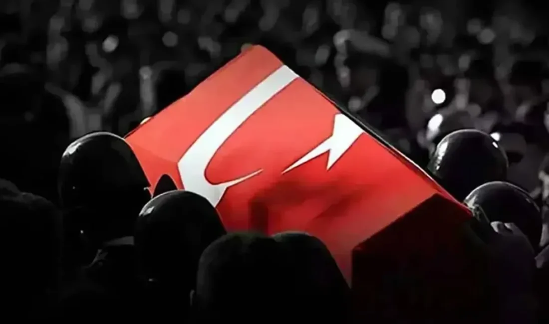 Orman Genel Müdürlüğü'ne (OGM) ait, Hırvatistan'da yangın söndürme görevi sırasında