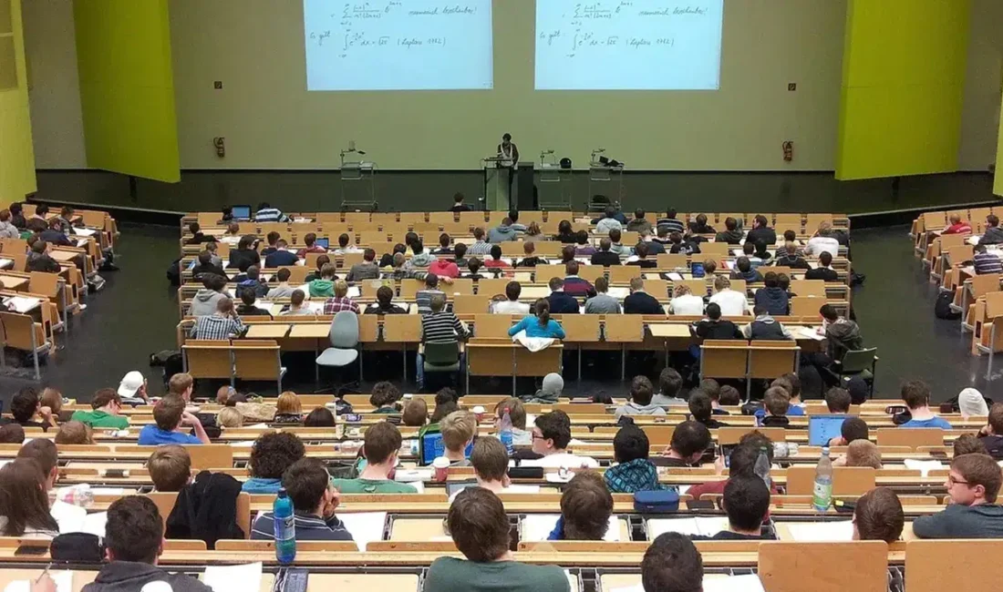 Yükseköğretim Kurulu (YÖK) Başkanı Prof. Dr. Erol Özvar, tez, makale