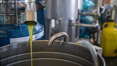 Bornova Belediyesi, zeytinin tarladan fabrikaya taşınmasından çıkan yağın eve teslimine