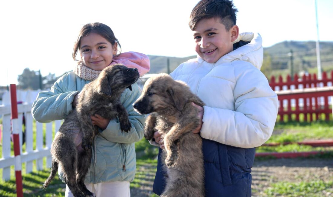 Pako Bakımevi ve Doğal Yaşam Parkı’na düzenlenen geziler, hayvanlarla ilk