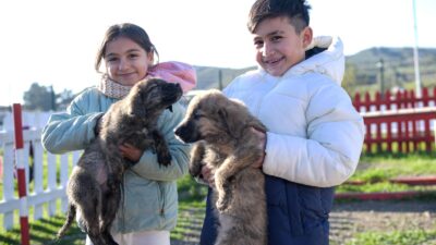 Pako Bakımevi ve Doğal Yaşam Parkı’na düzenlenen geziler, hayvanlarla ilk