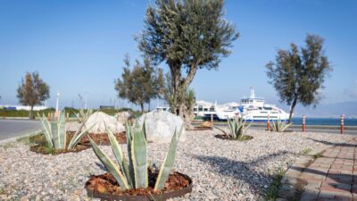 İzmir Büyükşehir Belediyesi peyzaj alanlarını estetik görünümlü ve az su