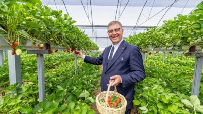 2025’te üreticiye 550 milyon lira can suyu veren İzmir Büyükşehir