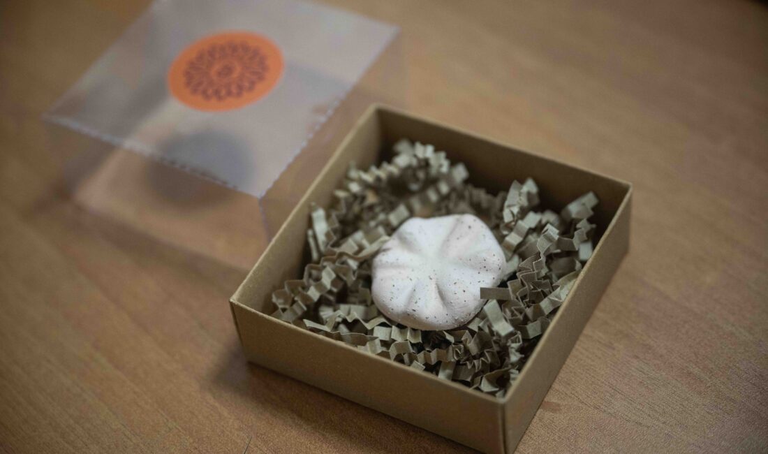 Bornova Belediyesi, kentin 8 bin 500 yıllık tarihini tek çatı