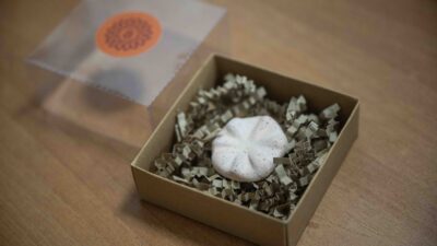 Bornova Belediyesi, kentin 8 bin 500 yıllık tarihini tek çatı