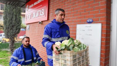 Buca Belediyesi, kendine ait tarım arazilerinde yetiştirdiği mevsim sebzelerini Kent