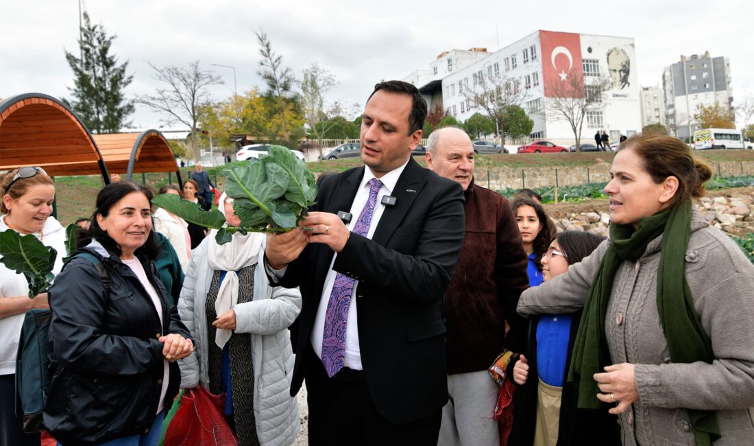 Bornova Belediyesi’nin 6 noktada kurduğu kent bostanlarında kadınlar kışlık sebzelerin