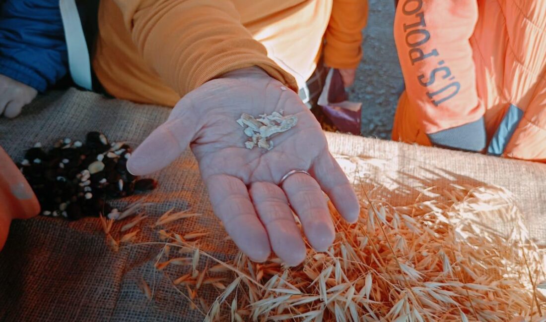 İzmir Büyükşehir Belediyesi’nin “Parkta Etkinlik Var” projesi kapsamında düzenlenen “Tohumdan