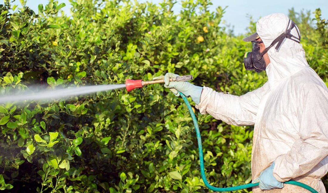 İnsanların yaşamını yitirmesine de neden olan böcek ilaçlarının satışında reçeteli