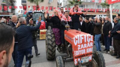İzmir Menderes'te mandalina üreticileri, artan maliyetler ve yetersiz destekler nedeni