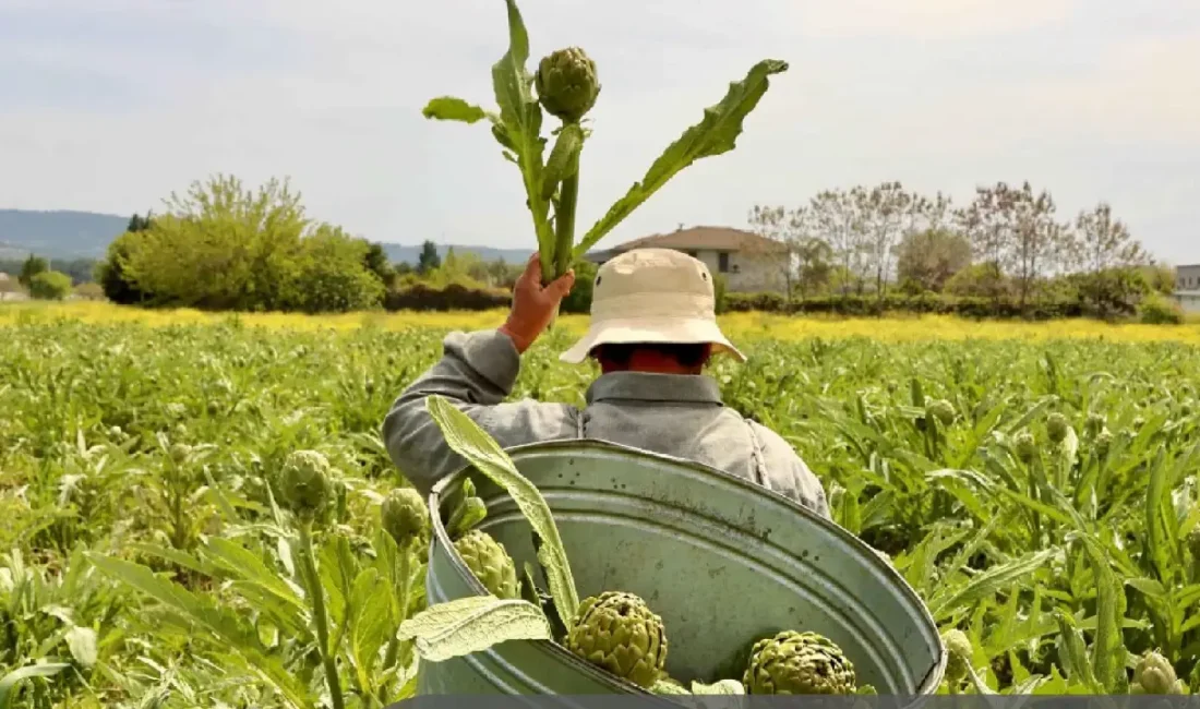 Green Destinations “En İyi 100 Hikaye” listesine giren İzmir’in üç