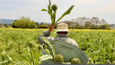 Green Destinations “En İyi 100 Hikaye” listesine giren İzmir’in üç