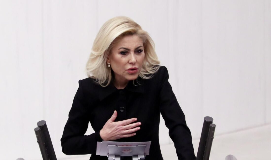 AK Parti İzmir Milletvekili Şebnem Bursalı, Aile ve Sosyal Hizmetler