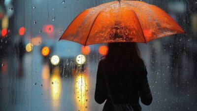 Meteoroloji Genel Müdürlüğü, 20 Aralık hava durumu raporunu yayımladı. Muğla