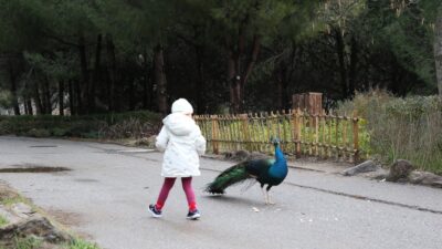 Sömestr tatilinde Çiğli’den Sasalı’ya dev bir neşe köprüsü kuruldu! Çiğli