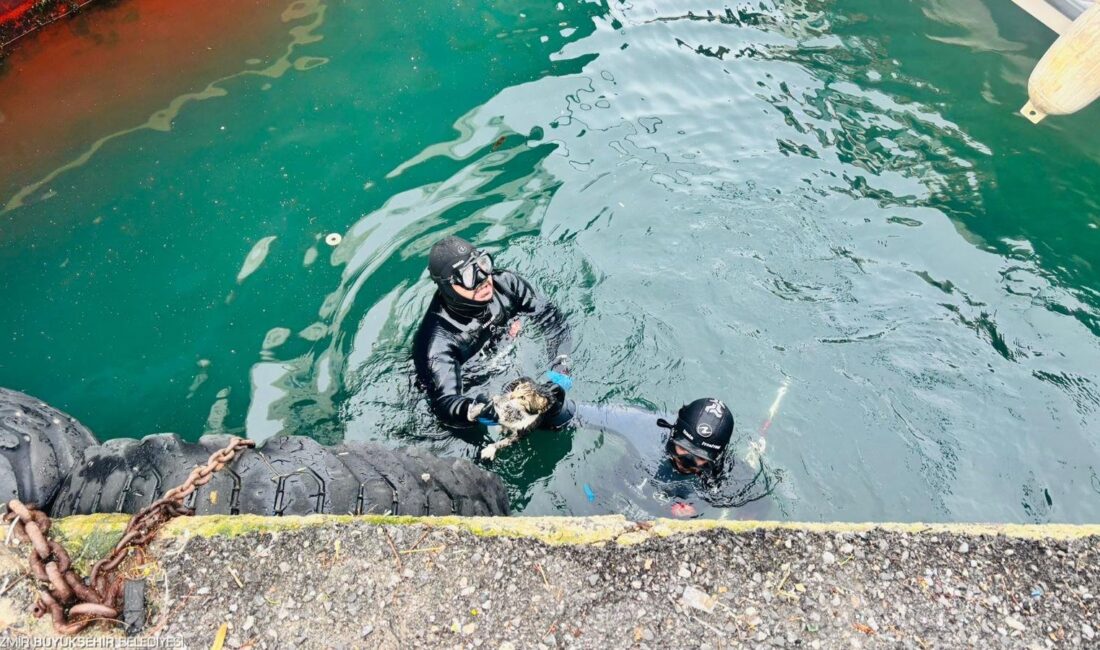 Karşıyaka Vapur İskelesi’nin kolonları arasına sıkışan kedi için İzmir İtfaiyesi