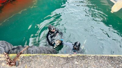 Karşıyaka Vapur İskelesi’nin kolonları arasına sıkışan kedi için İzmir İtfaiyesi