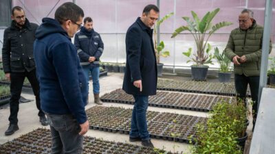 Bornova Belediyesi, Pınarbaşı’ndaki modern fidanlığında 2026 için 75 bin çalı