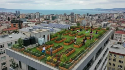 Permakültür temelli yeşil çatılarla yağmur suyu hasadı, kompost ve yerli