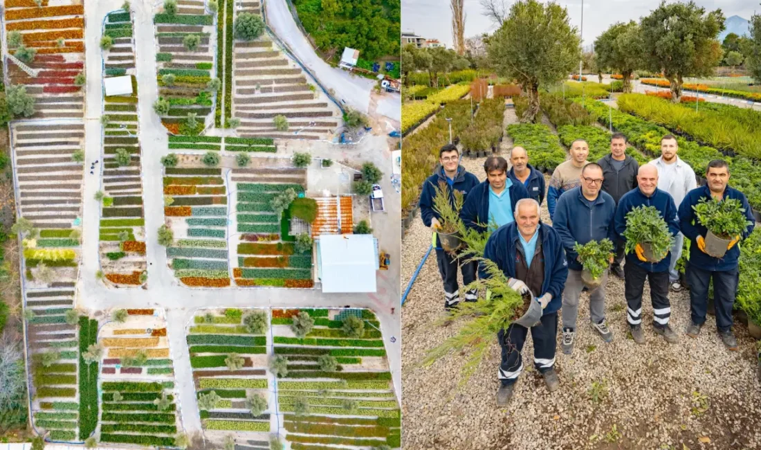 Parklarda, meydanlarda gördüğünüz o rengârenk çiçekler ve heybetli ağaçlar nereden