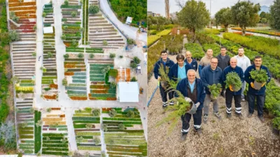 Parklarda, meydanlarda gördüğünüz o rengârenk çiçekler ve heybetli ağaçlar nereden