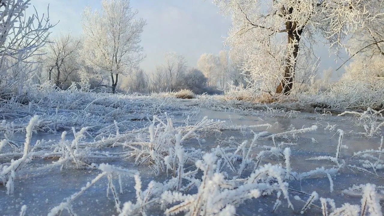 İzmir’in kuzeyinden güneyine dondurucu soğuk dalgası geliyor. Meteoroloji 2. Bölge