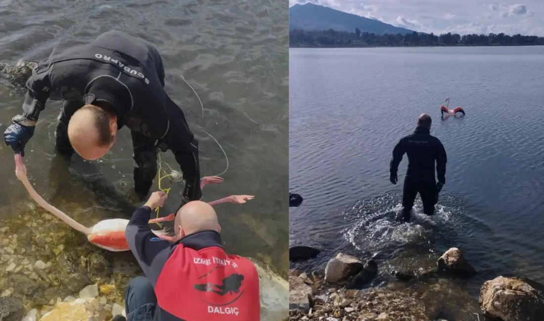 Sahilde yürüyenler fark etti, ekipler seferber oldu. İnciraltı'nda tuzağa takılan