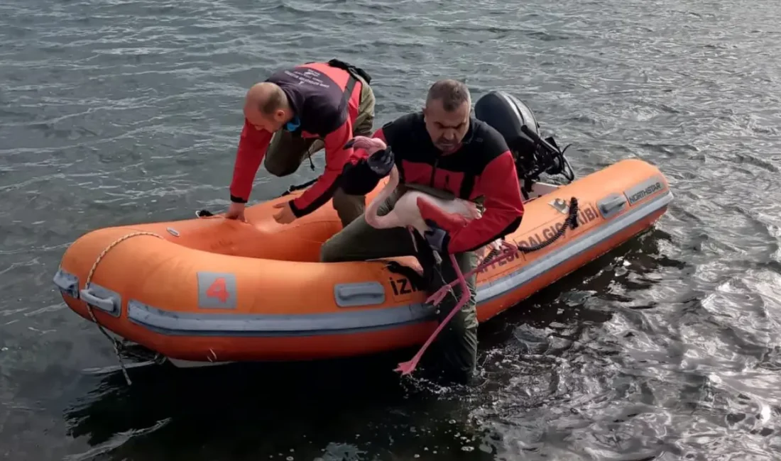 Barış Manço Köprüsü yakınlarında hareket edemeyen bir flamingo ihbarı ekipleri