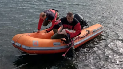 Barış Manço Köprüsü yakınlarında hareket edemeyen bir flamingo ihbarı ekipleri