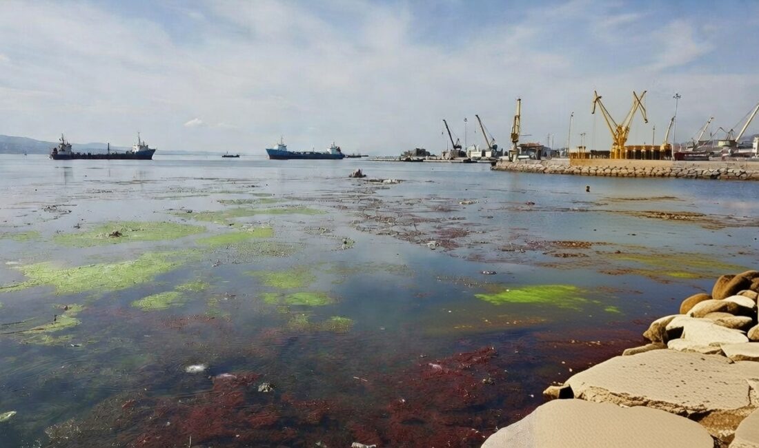 İzmir Körfezi neden temizlenemiyor? Başkan Tugay tersane ve limanı işaret