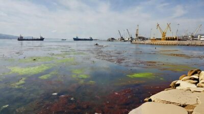 İzmir Körfezi neden temizlenemiyor? Başkan Tugay tersane ve limanı işaret